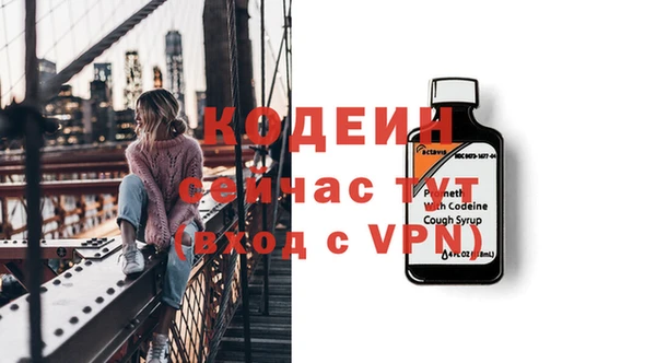 амф Бородино