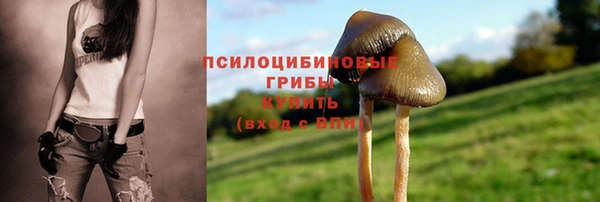 не бодяженный Бугульма