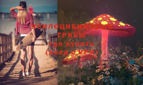 амф Бородино