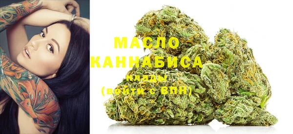 амф Бородино