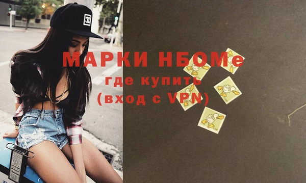 амф Бородино