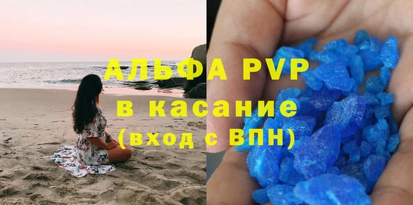 амф Бородино
