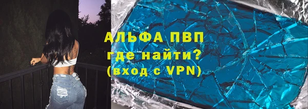 амф Бородино