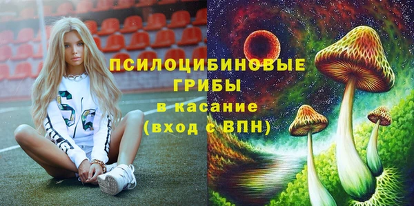 амф Бородино